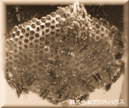 �n�`�̋쏜��n�`�̑��쏜