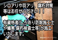 ���날��쏜�T�[�r�X