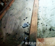 �l�Y�~�̕��A��Q