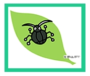 �A��/�A�͊Q����A�u�����V