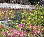 �Q���쏜�E�������