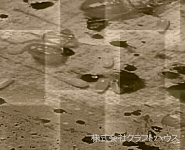 �싞���̗�