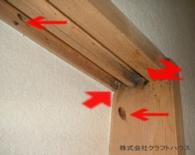 �g�R�W���~������